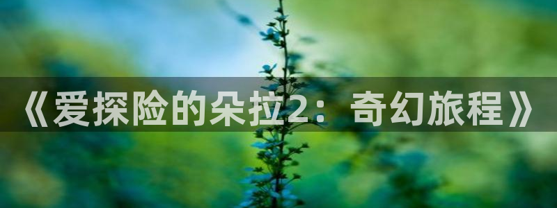 行业资讯